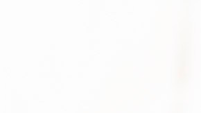 Renato Ibarra intento safarse de la ley con dinero.