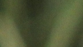 José Luis Higuera fue director general de las Chivas.