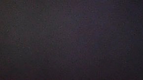 Renato Ibarra ha sido separado del América de forma definitiva.