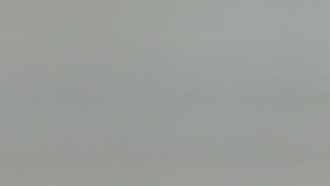 El delantero felino será rival de México en el Preolímpico de Concacaf.