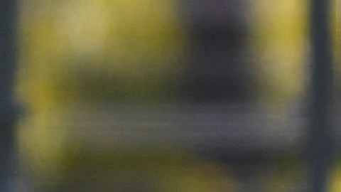 Luis Fuentes ha sido una gran sorpresa para el América.