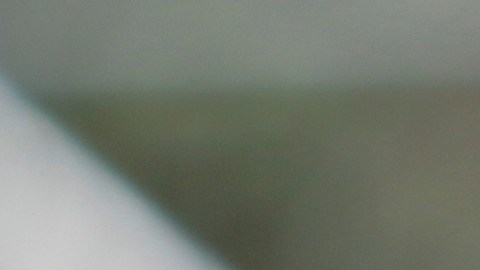 Haret Ortega es una de las nuevas promesas del América.