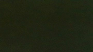 Miguel Herrera no está informado sobre el caso de Ibarra.