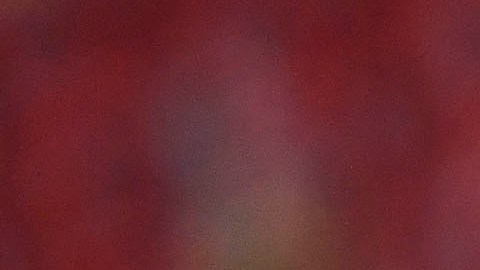 Un hombre tuvo que ser resguardado en la cancha.