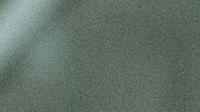 El Rebaño ya suma 16 puntos en el Clausura 2020.