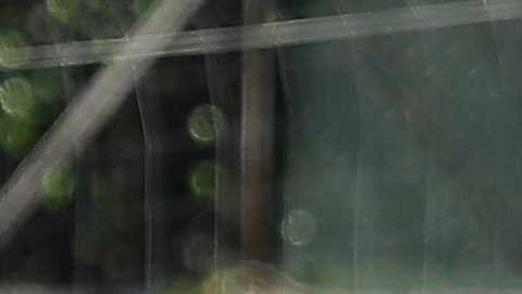 Morrison Palma es una de las grandes promesas de la cantera del América.