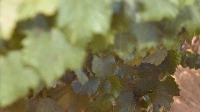 Angie Valencia y James Dumarot deciden posponer su boda por el coronavirus. (Cortesía)