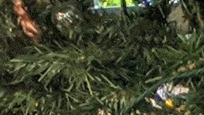 Próspero de León (centro) y Rigoberto Torres (d) en diciembre pasado en el Centro de Jornaleros CARECEN platicaban con el activista pro inmigrante Armando Carmona. (Jacqueline García/La Opinión)