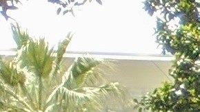 Aurelio Aldana (centro) junto a su familia recibiendo a su madre Eugenia Ángeles. (Jacqueline García)