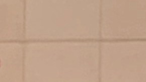 Demandan que a los inmigrantes indocumentados se les apoye durante el coronavirus. (Araceli Martínez/La Opinión).