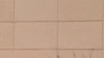 Demandan que a los inmigrantes indocumentados se les apoye durante el coronavirus. (Araceli Martínez/La Opinión).