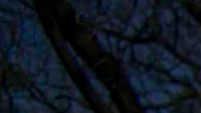 El elenco de "Imperio de Mentiras" reunido el primer día de grabaciones.