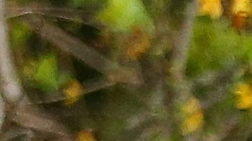 John Terry y su esposa Toni.