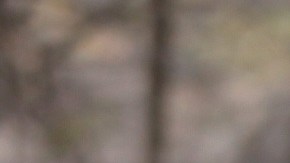 Cada vez que inauguran un pozo en África, la comunidad se congrega para celebrar. / fotoL cortesía WWFA.