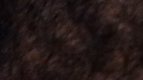 Kevin Durant, estrella de los Brooklyn Nets.