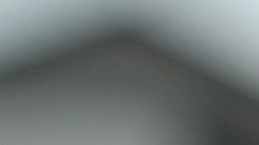 Tienes hasta el 31 de marzo para enviar tu ensayo.