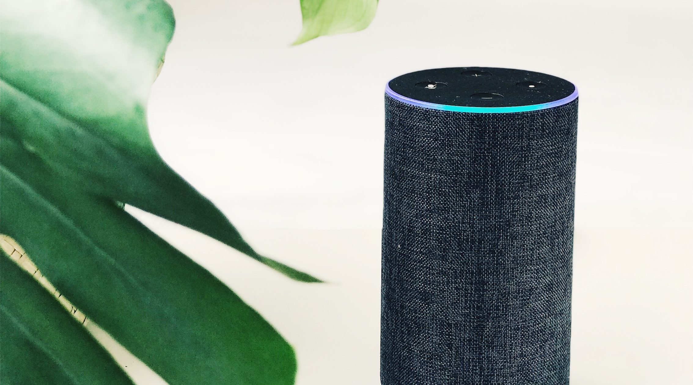 ¿Conoces todas las funciones de Alexa? Explora sus características y sus 3  aparatos más vendidos de Amazon - La Opinión