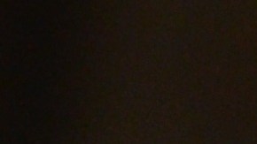 Un perro ayudó a salvar la vida de una anciana.