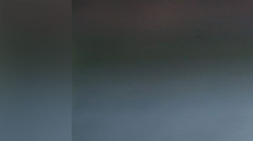 Quizá este sea un buen momento para comer este platillo que usualmente es muy caro.