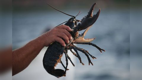 Quizá este sea un buen momento para comer este platillo que usualmente es muy caro.