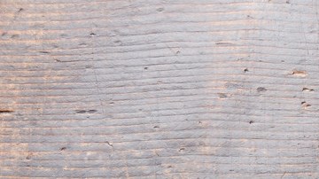 Langostinos-Lisovskaya-C