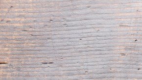 Langostinos-Lisovskaya-C