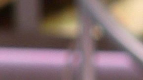 Lili Estefan y Raúl de Molina.