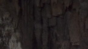 Los cenotes más bonitos de México. *Foto: Carlos Nazakato