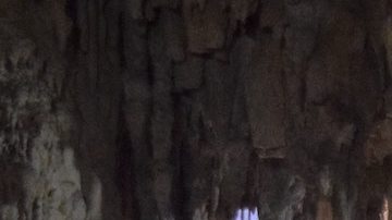 Los cenotes más bonitos de México. *Foto: Carlos Nazakato