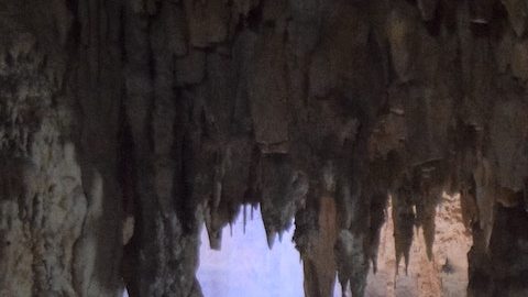 Los cenotes más bonitos de México. *Foto: Carlos Nazakato