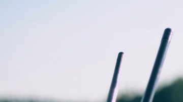 Los mejores lugares para pescar en Estados Unidos. *Foto: John Sekutowski vía Unsplash.