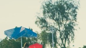 El incidente ocurrió en Arlington.