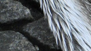 La brujería tiene diversos significados.