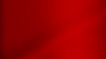 María Celeste Arrarás