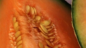 melón-pasja1000-Pixabay