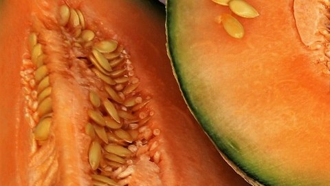 melón-pasja1000-Pixabay