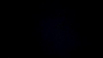 muere ex novia de mayweather josie harris