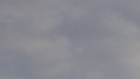 Mueren 4 personas a bordo de crucero, lo aislan en Panamá