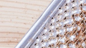 Una cucharadita de nuez moscada aporta 12 calorías.