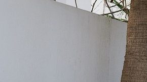 El Beetle de Volkswagen es uno de los autos que tienen el mismo valor en México que un smartphone de gama alta.