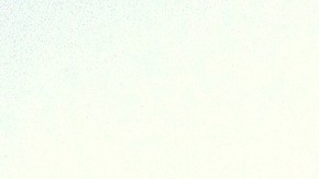 Beneficios espirituales del palo santo.