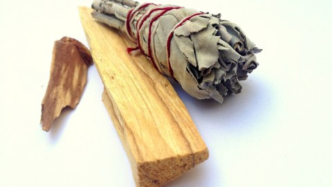 Beneficios espirituales del palo santo.