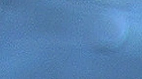 Los cojinetes de los canes puden limpiarse con agua y jabón o toallitas húmedas para perro.