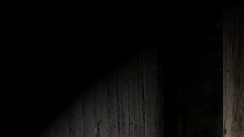 Las perillas de la puerta de entrada pueden ser un foco de infección de coronavirus.