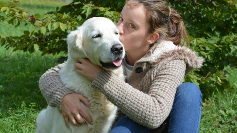 La canina se ha vuelto celebridad en la red social por su singular forma de acercarse a los extraños para darles afecto.