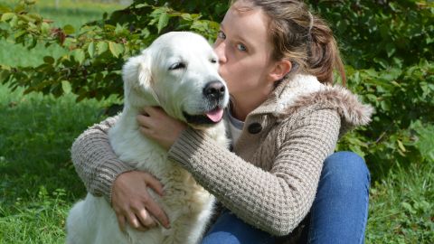 La canina se ha vuelto celebridad en la red social por su singular forma de acercarse a los extraños para darles afecto.