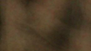 Los abrazos estresan a los perros.