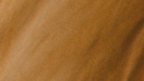 Los canes dejan de comer por alguna razón, pero no es un trastorno alimenticio como en los humanos.