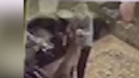 El ataque a la anciana.