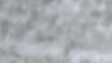 Un sujeto bajo los efectos de las drogas dijo que estaba enseñando a manejar a su perro.